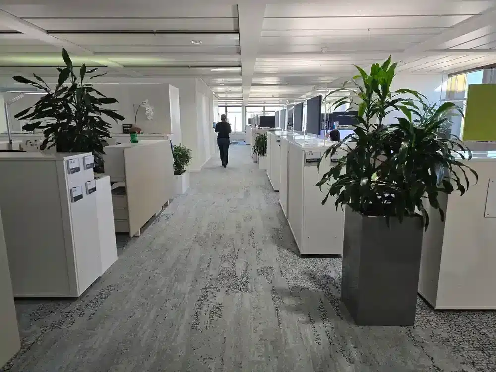 Bureaux-open-space